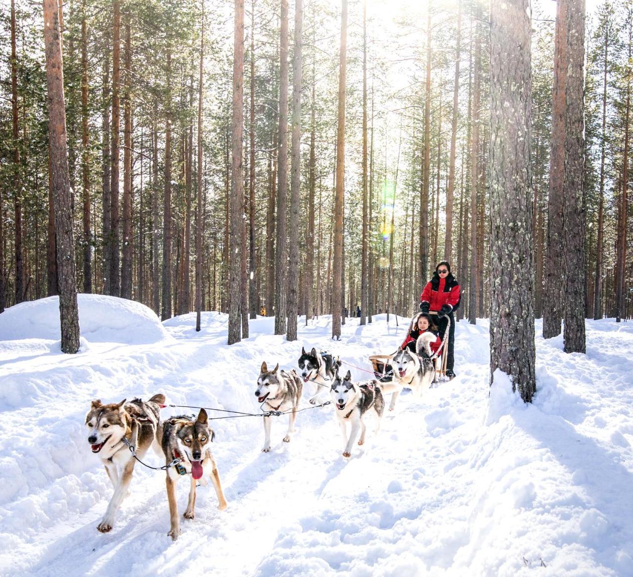Lapland Sky Ounasvaara