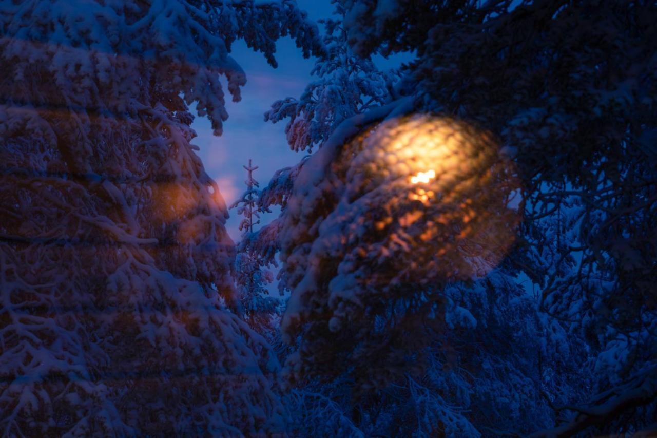 Lapland Sky Ounasvaara 4*